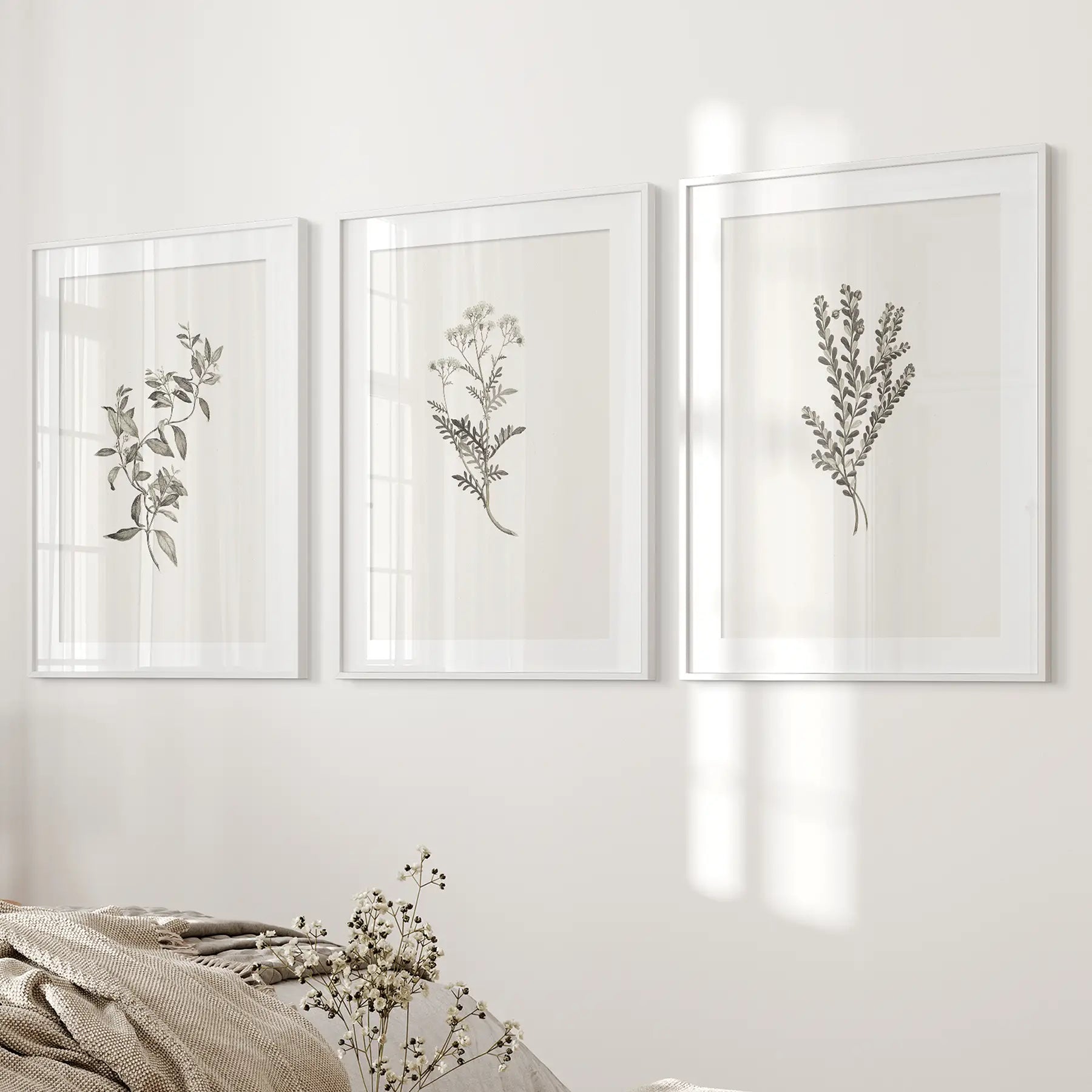 Vintage Home Decor. Botanical Wall Art Set by Sydney Parkinson