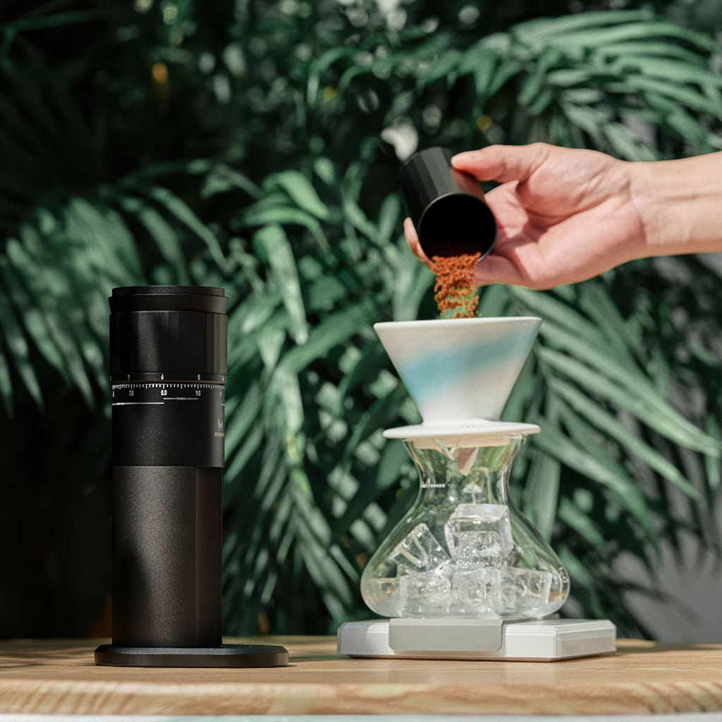 Precision Home Coffee Grinder