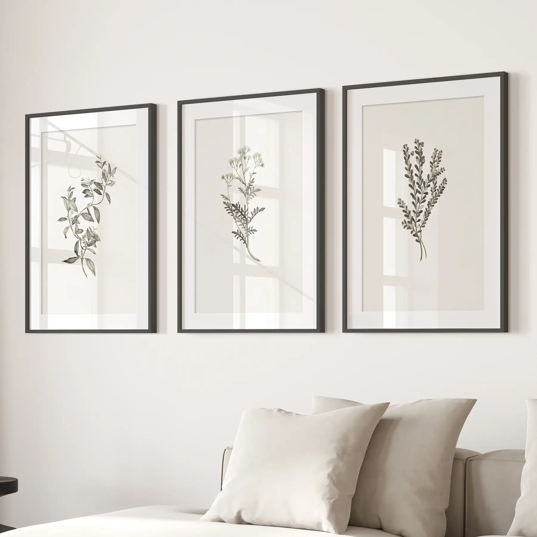 Vintage Home Decor. Botanical Wall Art Set by Sydney Parkinson